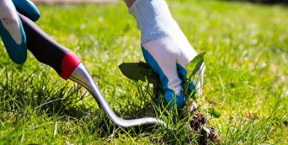 Weed Control